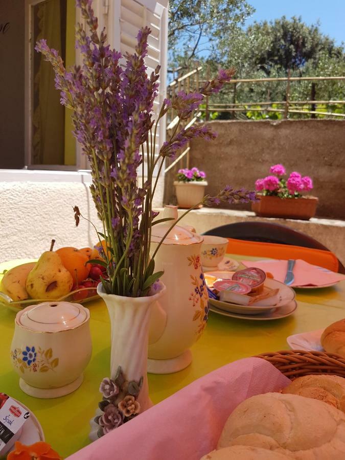 Apartments Guberina Šibenik Eksteriør billede